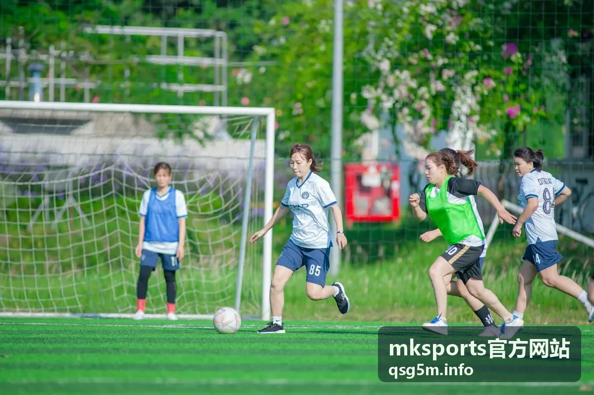 mksports官方网站会员权益与订阅入口封面