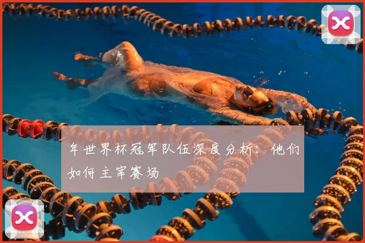 年世界杯冠军队伍深度分析：他们如何主宰赛场