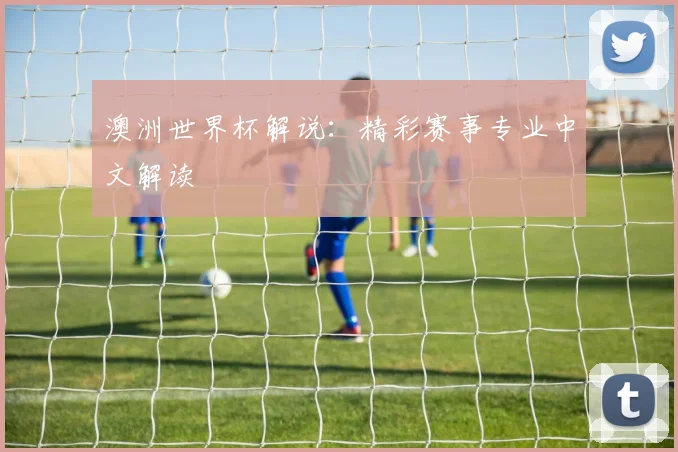 澳洲世界杯解说:精彩赛事专业中文解读